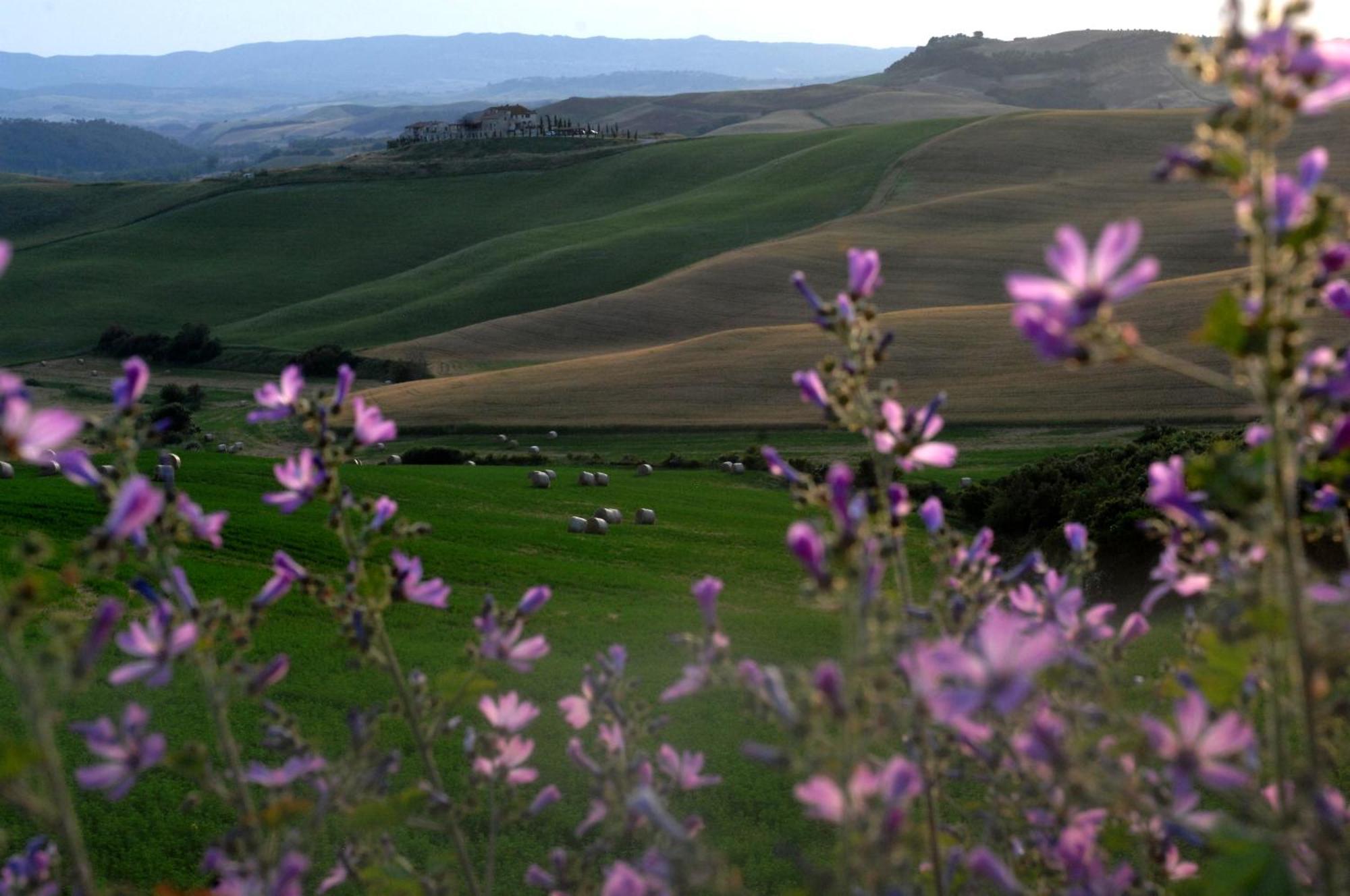 Agrihotel Il Palagetto Volterra Zewnętrze zdjęcie